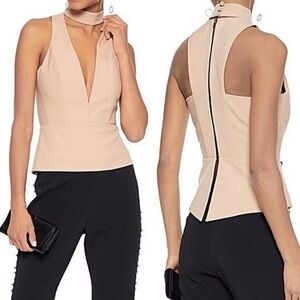 Michelle Mason Nude Blush Choker Plunge Neckline Top size 6